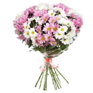 Букет из белых и розовых хризантем - купить с доставкой в Алабушево